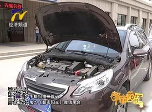 汽车撞树损失多少
